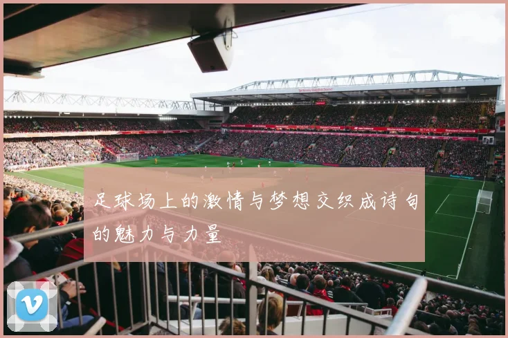 足球场上的激情与梦想交织成诗句的魅力与力量